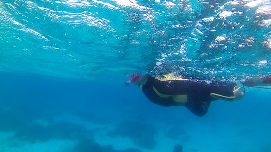 慣れてくれば浮かんをぐいぐいひっぱります