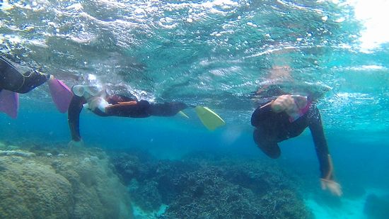 女性チームははまりそうですね