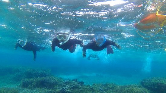 さぁシュノーケルポイントを回っていきます。