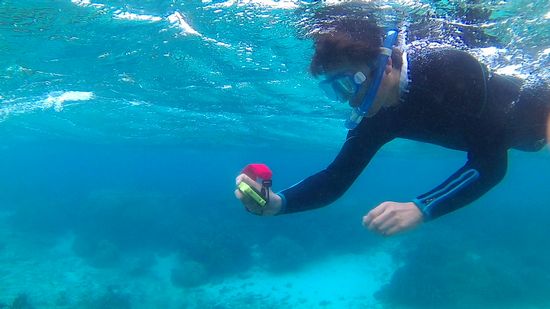 レンタルカメラを楽しむお父さん
