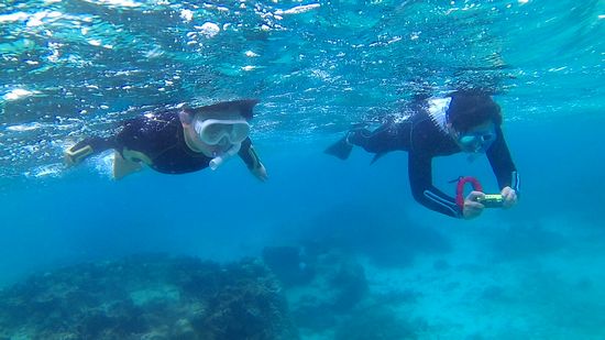 慣れてくれば、水中世界を楽しんでいらっしゃいます
