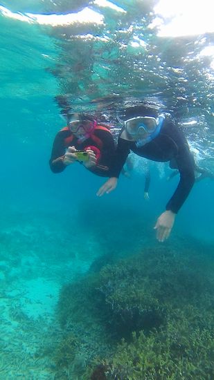 お母さんとユウト君、慣れてしまえば大丈夫です