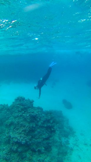 お父さん、海大好きですね