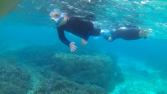 じっくり観察楽しんでいらっしゃいます♪