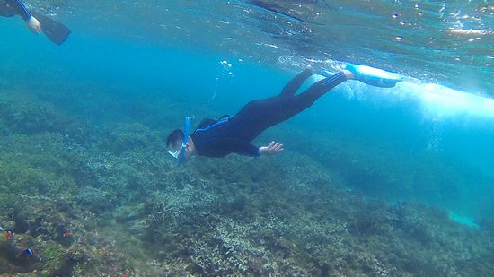 クマノミマンションでドボンのS木さん