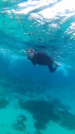 パワフルに泳ぎ回るN村さん