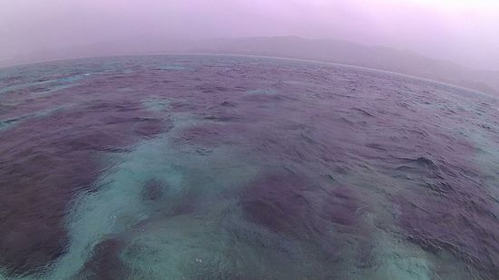 雨の石垣島です