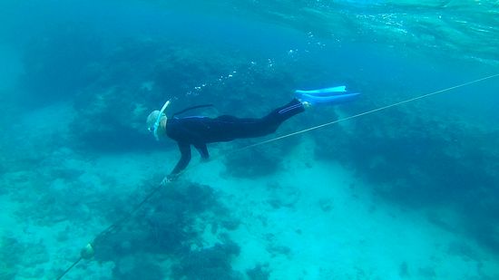 最後に素潜り練習の旦那さん