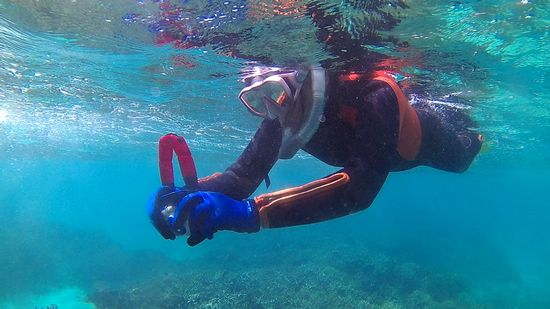 ここぞのタイミングでシャッターの奥さん