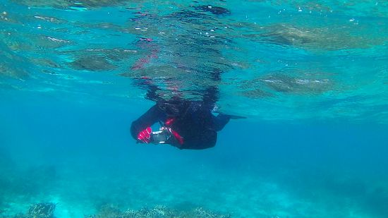 旦那さんも楽しんでいます。