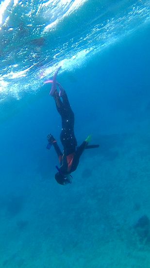 最後のラスト素潜り！成功です