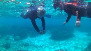 2月のさんご礁の海からはゆったりのんびりです。