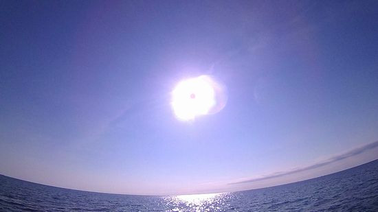 太陽さんのお出迎えです。