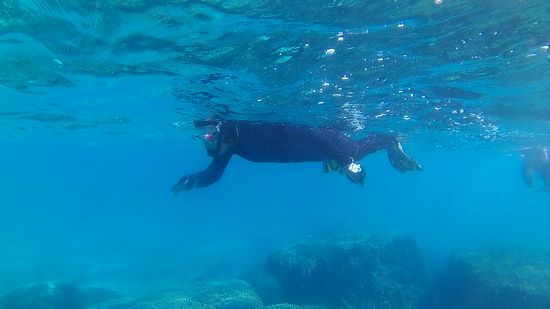 すいすい泳ぐM井さん