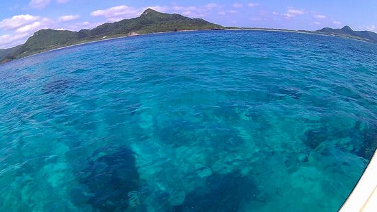 シュノーケリング日和です。