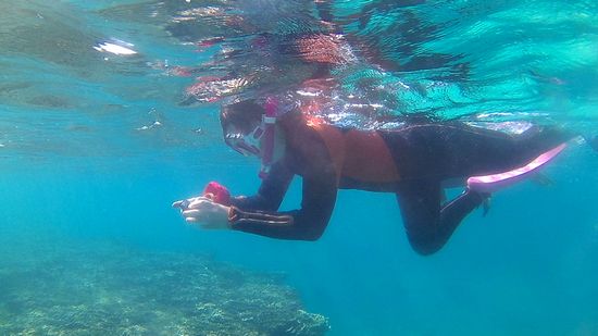 水中カメラを楽しむN岸さん