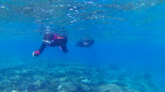 リピーターM井さんとN岸さん