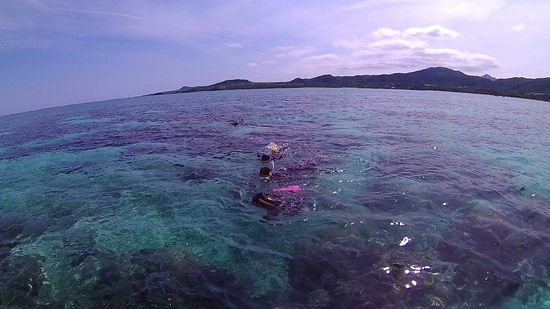 フリータイムを満喫です。