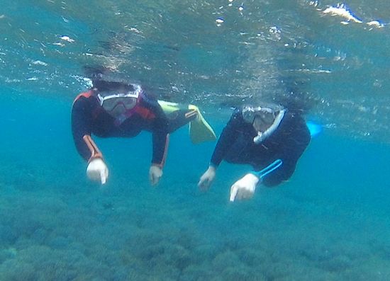 T口さんご夫婦です。