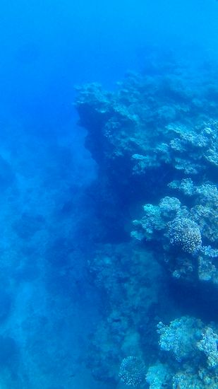 雨が降ってもシュノーケリング、問題ありません