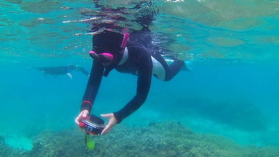 ダイバーの奥さん、貫禄がありますね