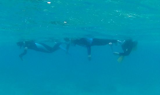 リピーターT田さんご家族です。