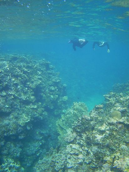 断崖絶壁を楽しみながらシュノーケル