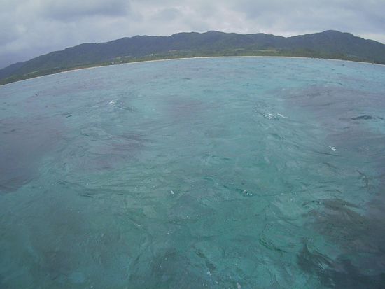 曇り時たま小雨の天気です