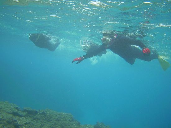 平均年齢なんて関係ありません