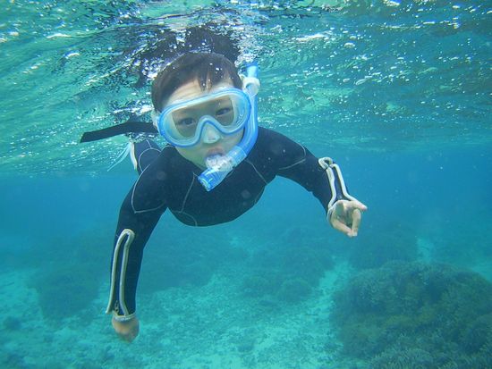 リクト君余裕のマスクデビューです