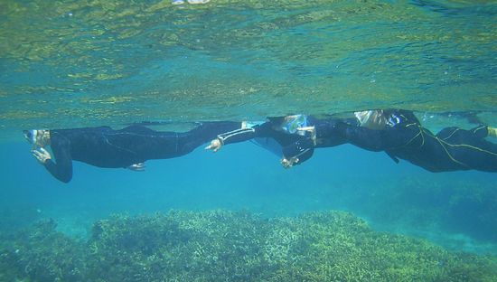 家族そろってシュノーケリング