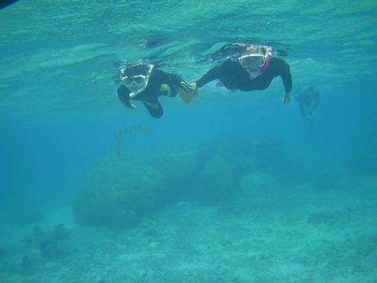 お母さんと一緒に泳いでいます。