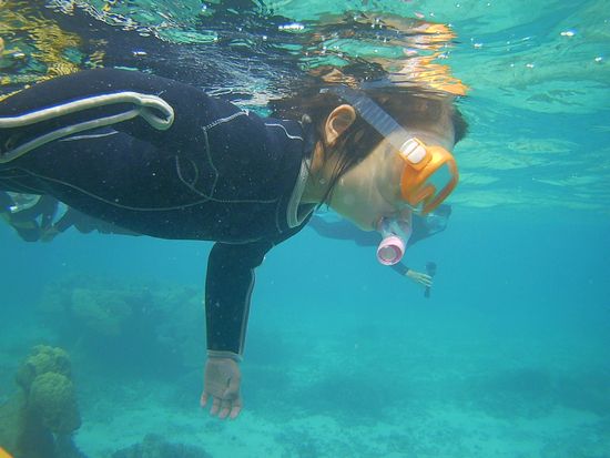 アサヒちゃん、マスクデビュー成功です