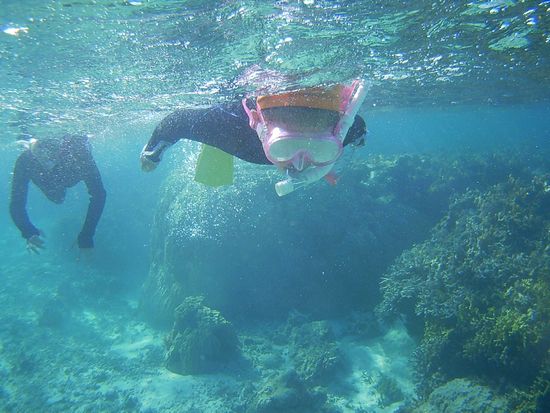 アムちゃん、余裕の泳ぎです。