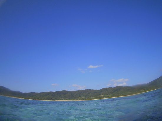 本日も快晴の石垣島です。