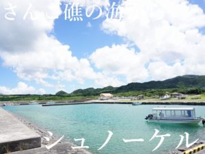 ドライブしていたら、虹がでたぁ～!虹のふもとの宝物を知りたいですね！