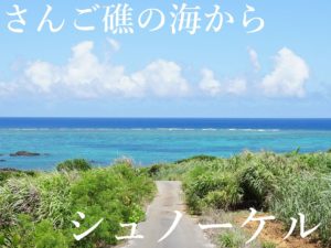 惨敗しました。石垣島トライアスロン、2年目の挑戦!チームで91位でした！