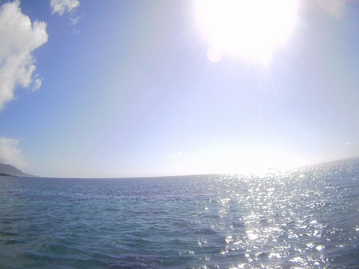 太陽さん、さんさんとしています