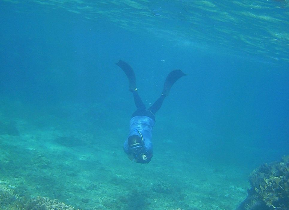 お母さんはダイバーです