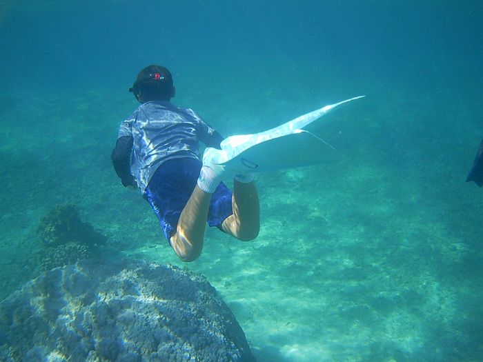 お兄ちゃん、軽く素潜りです