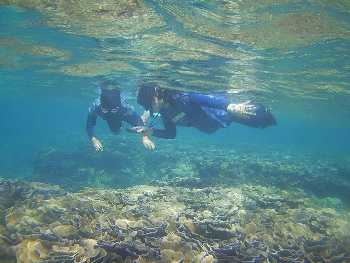 リピーターM野さん