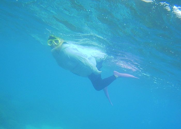 奥さんも楽しんでいます。