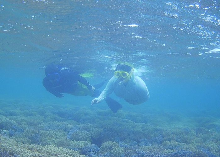 K野さんご夫婦です