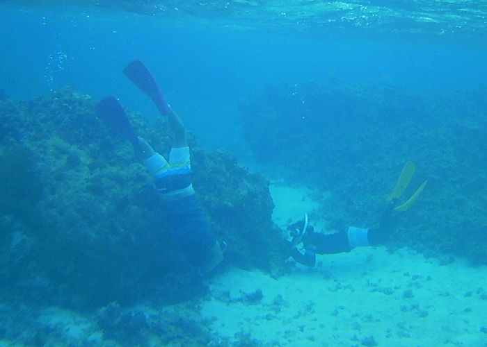 クマノミさんとツーショットを狙って