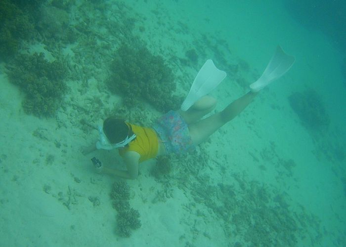 M川さんがんがん潜っています