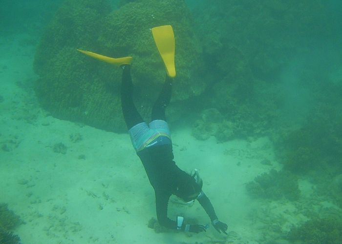 奥さんも好奇心旺盛です