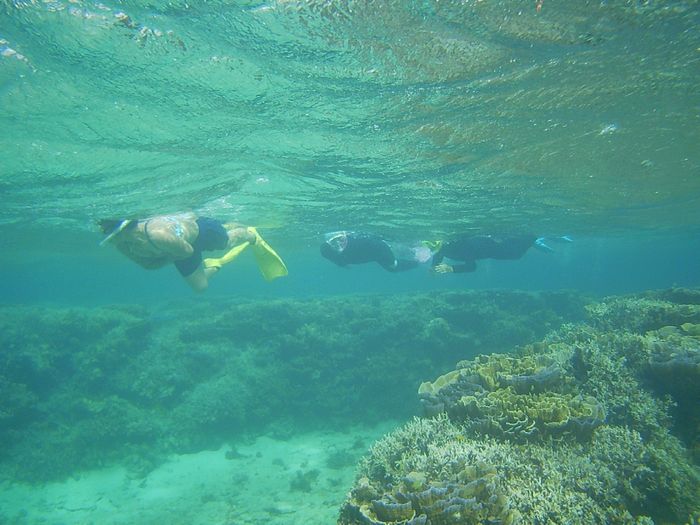 皆さん、リピーターさんです