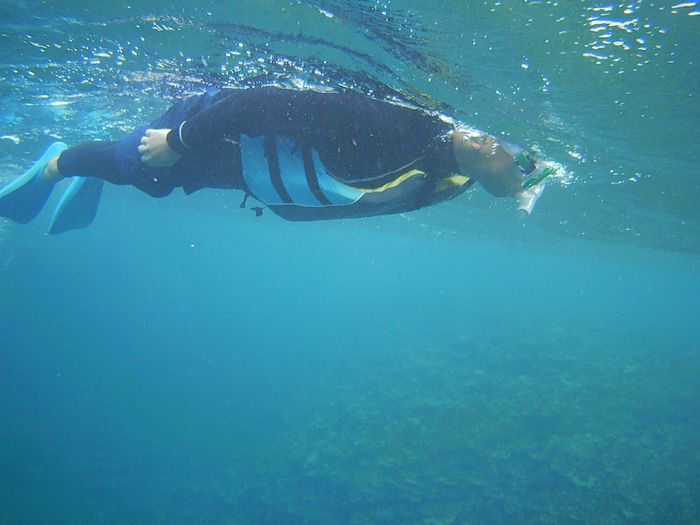 予定へ変更でシュノーケル