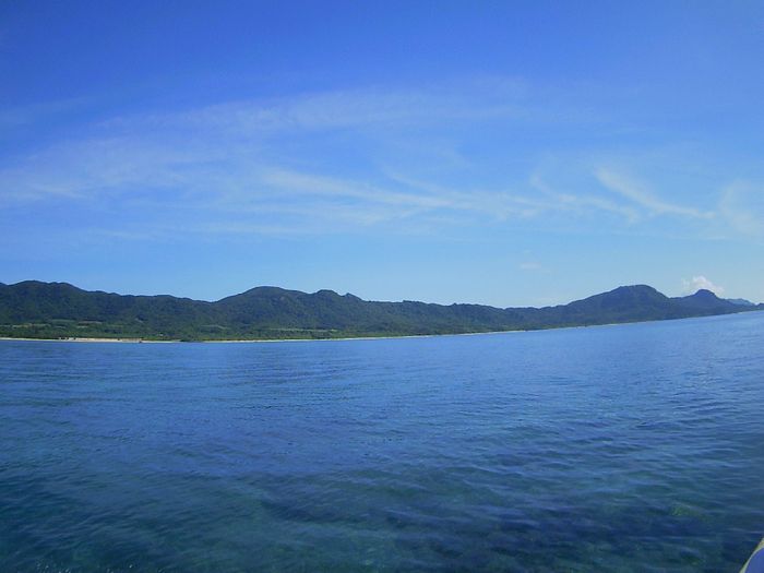 ベストコンディションです