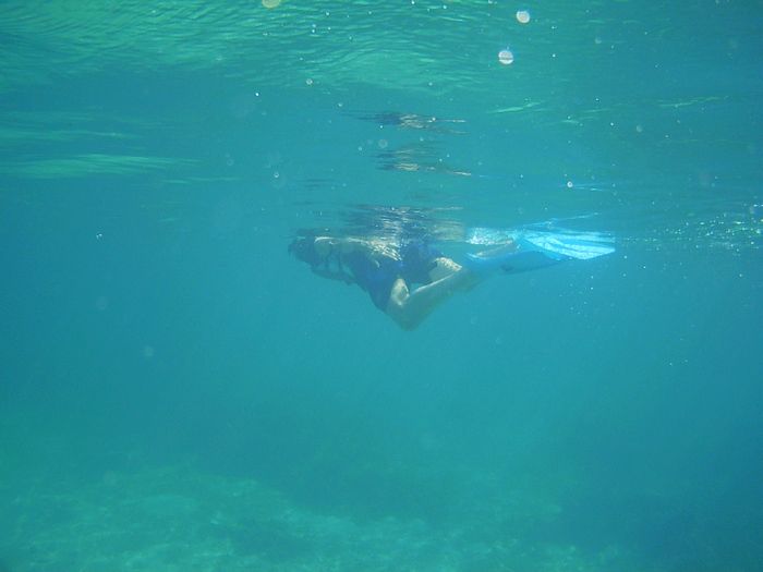 もう慣れれば大丈夫でしたね